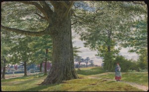 A Girl by a Beech Tree in a Landscape